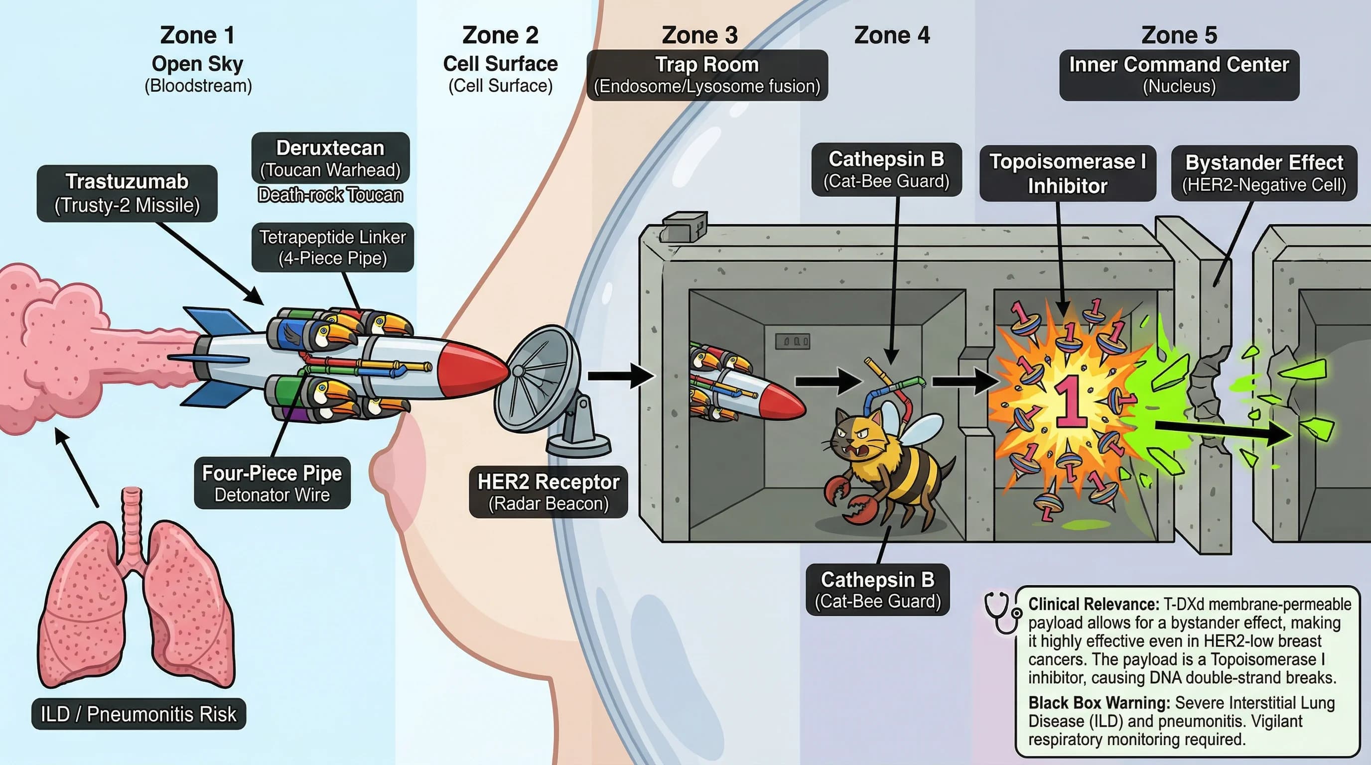 Visual mnemonic for Antibody-Drug Conjugates (Trastuzumab Deruxtecan T-DXd Targeted Payload Delivery) using Guided Missile Strike analogy